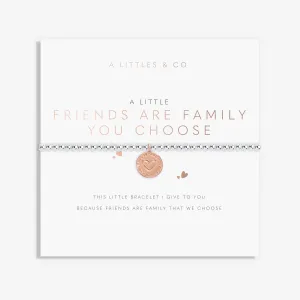 A Little 'Friends Are The Family You Choose' Bracelet