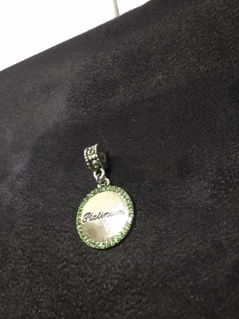 Beautiful Pandora Style CHARMS ONLY (Available for Links Pandora Style Bracelets)