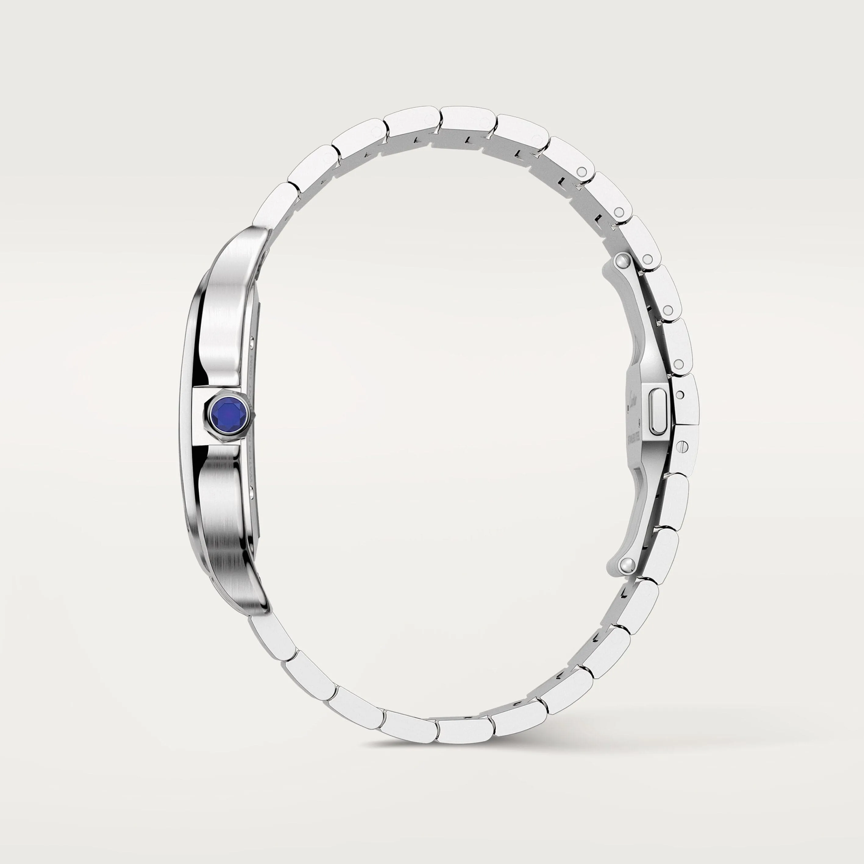 Santos de Cartier skeleton watch CRWHSA0015