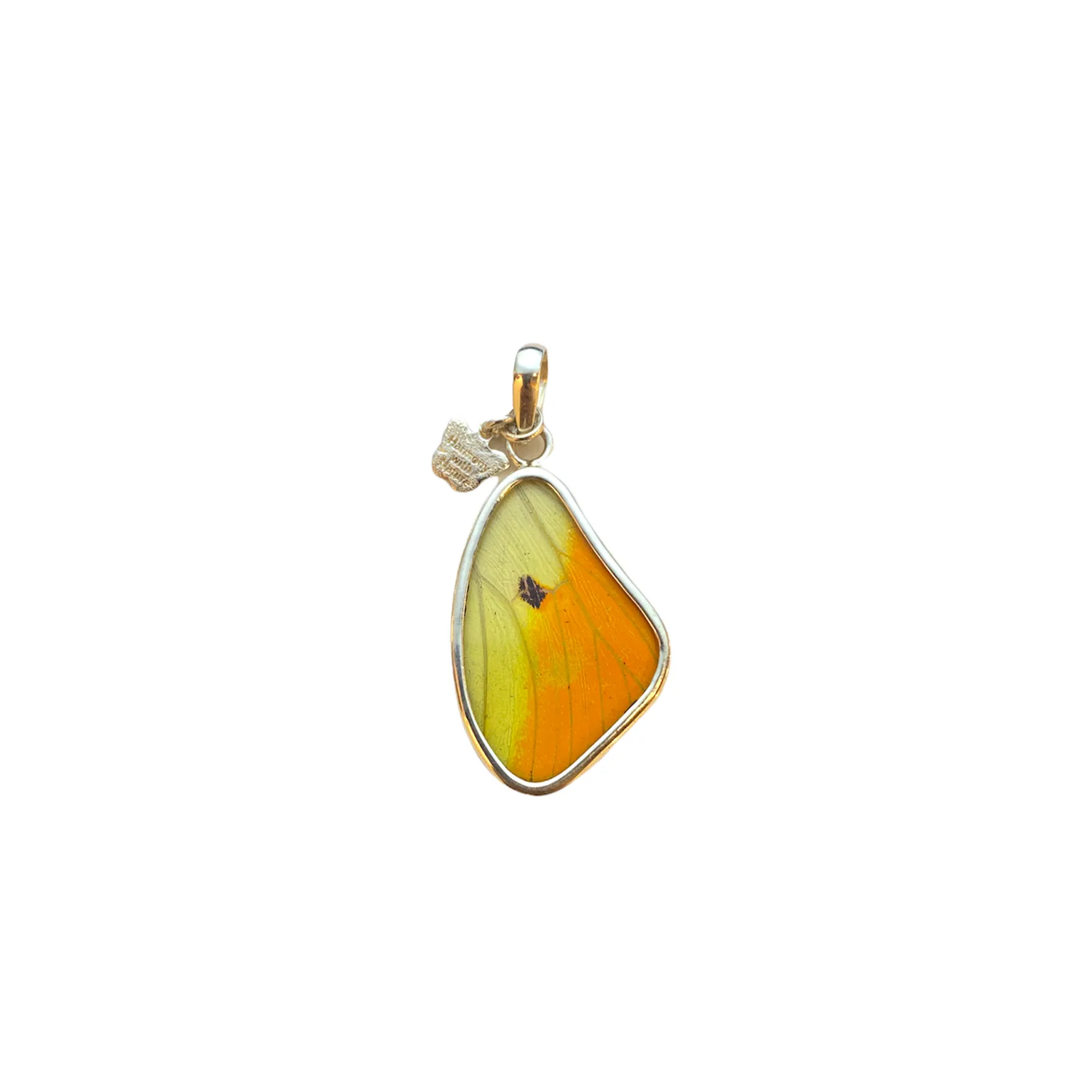 Yolanda Ormachea Small Butterfly Wing Pendant. Lima, Peru.