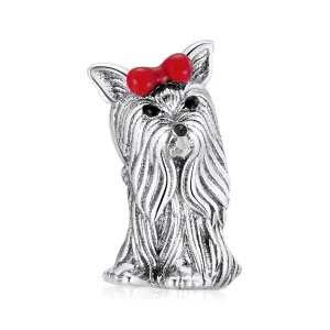 Yorkie Charm
